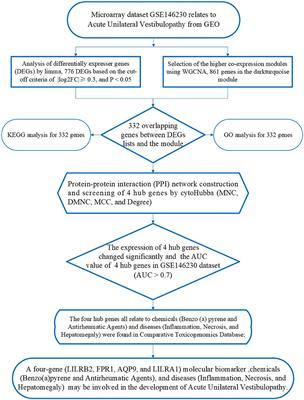 Identification of hub genes and pathophysiological mechanism related to acute unilateral vestibulopathy by integrated bioinformatics analysis